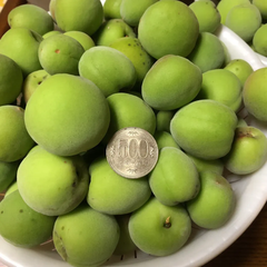 農薬不使用　青梅　２Kg（箱の重さ含む）