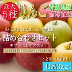 青森県産 最大5種ミックス りんご【家庭用B品3kg】【送料無料】【農家直送】林檎