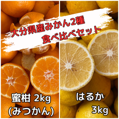 大分県産みかん2種食べ比べセット／計5kg／送料込