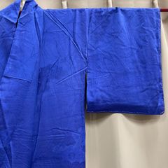 【特価】逸品 美品 正絹 小紋 女性 婦人 レディース 和装小物 和装 着物 留袖 訪問着 振袖 浴衣 B111311