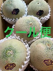 アンデスメロン 2Lサイズ 5個入 箱込5キロ程度 茨城県産