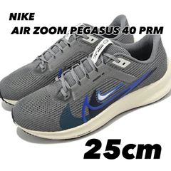 NIKE AIR ZOOM PEGASUS 40 PRM ナイキ エアズーム ペガサス40 PRM GREY BLUEY fb7179-002 25cm