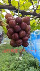 話題沸騰中！ハート型が可愛いぶどう 山形県産マイハート 1房
