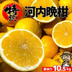 【数量限定&新品未開封】瀬戸環奈1stグッズ「セトカンセット」即完の貴重なグッズ 向坂環 20th Anniversary Ver. 特設サイト | GOOD SMILE COMPANY
