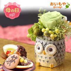 【おいもや公式】母の日限定 一寸 【ふくろう(グレー)】動物 置物 どら焼き プリザーブドフラワー おしゃれ 可愛い スイーツ お菓子 和菓子 インテリア 雑貨 造花 ミニ (お届け時期:5/5～11のいずれか)