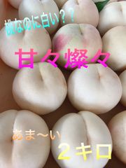 山梨県産　桃(甘々燦燦)  訳あり２キロ