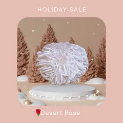 【新入荷】砂漠のバラ🌹【Single SS】