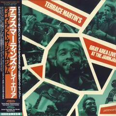 新品Terrace Martin 3ChordFold 2枚組レコード限定品名盤 TERRACE MARTIN / テラス・マーティン商品一覧｜CLUB / DANCE