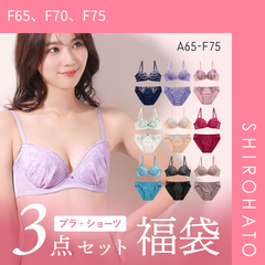 【SHIROHATO公式】【正規品・新品】ブラジャー ショーツ 3点セット 福袋 選べる2タイプ おまかせ 刺繍レース おしゃれ シンプル ABCDEF(F65、F70、F75)