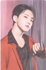 SEVENTEEN POWER OF LOVE HOSHI トレーディングカード 0044