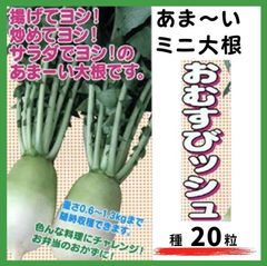 【野菜の種】あまいミニダイコン「おむすびツシュ」種２０粒～収穫約６０日～