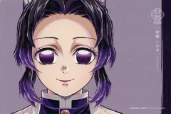 【中古】キャラカード 胡蝶しのぶ(顔全体) 「アニメ 鬼滅の刃 柱展 -そして無限城へ- ランダムキャンバスカード」