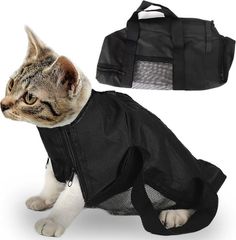 Item thumbnail for item 48fb6184-2e98-4130-9af1-73bb79ce0ab9