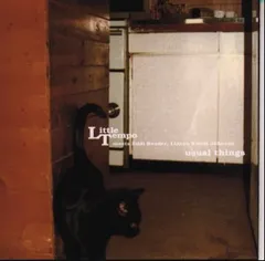 新品未使用品　LITTLE TEMPO 山と海 レコード LITTLE TEMPO / 山と海 / LP | Record CD Online Shop JET SET