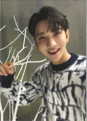 SEVENTEEN 通常盤 JOSHUA あいのちから クリスマス