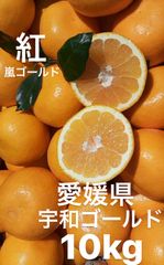 愛媛県産　宇和ゴールド紅　嵐ゴールド　河内晩柑　柑橘　10kg