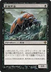 【中古】マジックザギャザリング 117/248[R]：【ROE】葬儀甲虫/Mortician Beetle