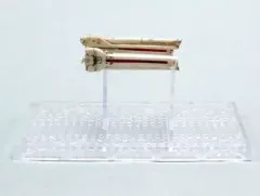 2025年最新】銀河英雄伝説 1/12000バトルシップコレクションの人気