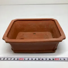 2025年最新】盆栽鉢 中国の人気アイテム - メルカリ