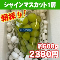 シャインマスカット1房（約500g）【通常の宅急便】山梨県笛吹市産