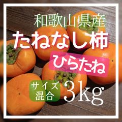 柿 たねなし柿 3kg 和歌山