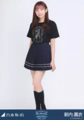 【値段交渉可能】新内眞衣　生写真3枚コンプのみ151セット　計453枚まとめ売り 2025年最新】新内眞衣の人気アイテム - メルカリ