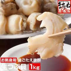 【お刺身用】大粒生つぶ貝 大盛1kg(500g×2) (ロシア/オホーツク海産) つぶかい つぶがい ツブガイ ツブカイ 粒貝 海鮮 ますよね