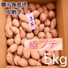【絶品】種子島産  安納芋 極プチ 5kg(箱別)