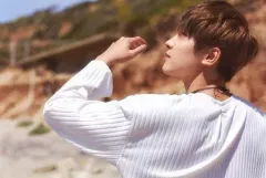 【中古】ポストカード [単品] ウォヌ(SEVENTEEN) ポストカード 「CD Al1」 封入特典