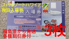2枚】スパリゾート ハワイアンズ入場券 常磐興産株主優待券 - せきが
