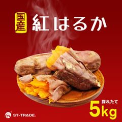 【紅はるか5ｋｇ】採れたて　国産サツマイモ　さつまいも　さつま芋　サツマ芋　土付きでお届け　サイズお任せ　焼き芋　スイートポテト　大学芋　天ぷら　新芋