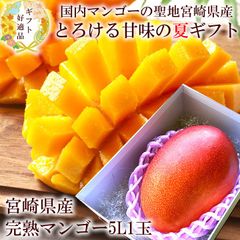 マンゴー 内祝い 出産内祝い お祝い 謝礼  お礼 お見舞い 快気祝い お供え ご霊前 手土産ギフト ゴルフコンペ景品 ご結婚お祝い 結婚内祝い 寿 [宮崎完熟マンゴー5L1玉A] 冷蔵便 クール便