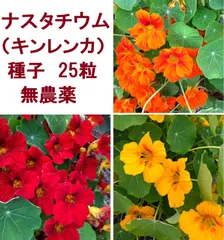 ナスタチウム（キンレンカ）ジュエル混合 種25粒 タキイ種苗 エディブルフラワーのサムネイル