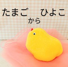 たまごからひよこ　保育教材　保育　手袋シアター　保育実習
