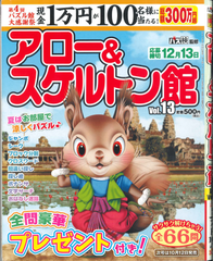 ★在庫一掃セール★アロー＆スケルトン館　Vol.13