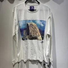 THE NORTH FACE PURPLE LABEL × PALACE 21ss L/S Graphic Tee 