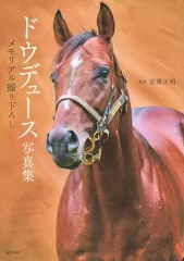 ドウデュースポスター2枚 Amazon | ドウデュース ポストカード 日本ダービー 競馬 JRA ウマ娘