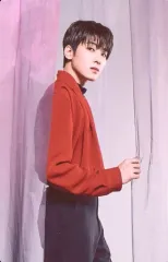 【中古】コレクションカード(男性) 32：SEVENTEEN/WONWOO(ウォヌ)/ノーマルカード/「SEVENTEEN CONCERT ＜POWER OF LOVE＞」トレーディングカード