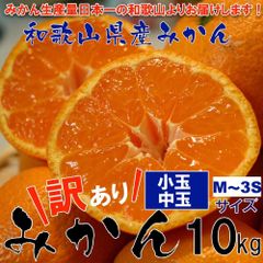 小玉みかん 和歌山県産 訳あり ミカン 小玉中玉（Mサイズ～3Sサイズ）10kg ※発送開始予定日:10月中旬頃
