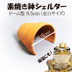 素焼き切り株シェルター付き!!自然の中の飼育箱➄ ハウス・小屋
