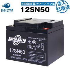 キャンピングカー用鉛バッテリー12V100Ah 1個 | Mercari