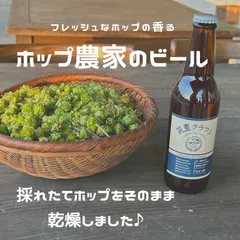 日本アウトレットストア hideクラフトビール3本＋グラス - 飲料・酒