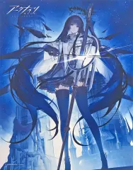 2025年最新】アークナイツ サンクスパーティ Spring 2024 キャンバス