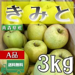 青森県産 ＂ きみと ＂ りんご【ご家庭用A品3kg】【送料無料】【産地直送】リンゴ 林檎