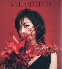 SHAMAN KING 하야시바라 메구미 Soul salvation