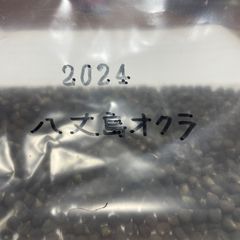 無農薬　八丈島オクラ　種子　10粒