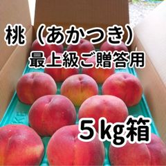 7月末出荷予定　あかつき（甘くてジューシーな桃）　５ｋｇ　最上級　ご贈答用