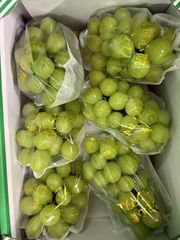 2Kg【大容量】 九州産　シャインマスカット　【綺麗】【2キロ】【3房〜6房】　送料無料  『シャインマスカット始まりました』
