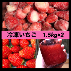 【群馬県渋川市産】業務用　冷凍イチゴ　冷凍いちご　　3kg（1.5kg×2）
