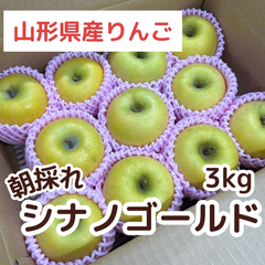 【贈答におすすめ】山形県産りんご　シナノゴールド　3kg以上